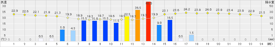 静岡(>2017年06月21日)のアメダスグラフ