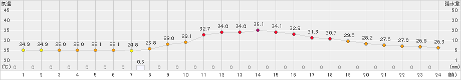 美濃(>2018年08月21日)のアメダスグラフ