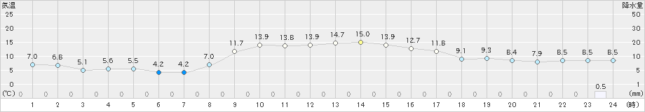 樽見(>2024年11月21日)のアメダスグラフ