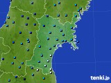 宮城県のアメダス実況(気温)(2015年01月11日)