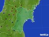 宮城県のアメダス実況(積雪深)(2015年02月10日)