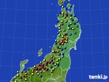 2015年02月14日の東北地方のアメダス(積雪深)