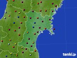 宮城県のアメダス実況(日照時間)(2015年02月24日)