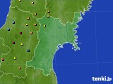 宮城県のアメダス実況(積雪深)(2015年02月25日)