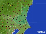 茨城県のアメダス実況(気温)(2015年08月03日)