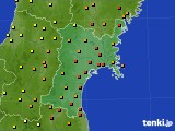宮城県のアメダス実況(気温)(2015年09月02日)
