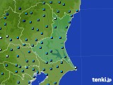 茨城県のアメダス実況(気温)(2016年01月12日)