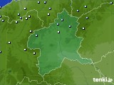 群馬県のアメダス実況(降水量)(2016年01月20日)