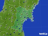 宮城県のアメダス実況(風向・風速)(2016年01月21日)