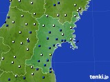 宮城県のアメダス実況(風向・風速)(2016年01月22日)