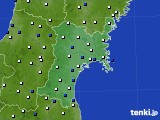 宮城県のアメダス実況(風向・風速)(2016年02月02日)