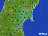 宮城県のアメダス実況(日照時間)(2016年02月22日)