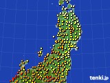 東北地方のアメダス実況(気温)(2016年05月24日)