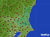 茨城県のアメダス実況(気温)(2016年07月11日)