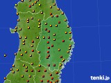 アメダス実況(気温)(2016年08月04日)