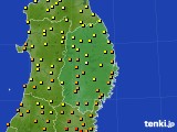 岩手県のアメダス実況(気温)(2016年08月17日)