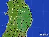 アメダス実況(気温)(2016年08月17日)