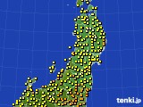 アメダス実況(気温)(2016年09月17日)