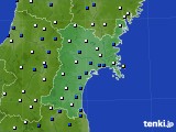 宮城県のアメダス実況(風向・風速)(2016年10月29日)