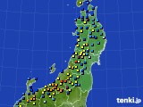 東北地方のアメダス実況(積雪深)(2017年01月16日)