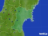 宮城県のアメダス実況(積雪深)(2017年01月28日)