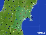 宮城県のアメダス実況(日照時間)(2017年02月21日)