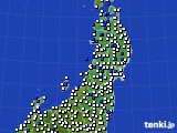 東北地方のアメダス実況(風向・風速)(2017年05月20日)