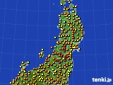 東北地方のアメダス実況(気温)(2017年05月31日)