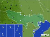 2017年08月01日の東京都のアメダス(降水量)