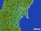 アメダス実況(気温)(2018年01月25日)