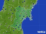 宮城県のアメダス実況(風向・風速)(2019年01月29日)