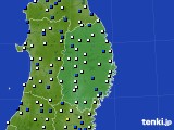 岩手県のアメダス実況(風向・風速)(2019年01月31日)