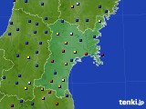 宮城県のアメダス実況(日照時間)(2019年02月13日)