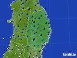 アメダス実況(気温)(2019年02月20日)