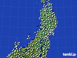 東北地方のアメダス実況(風向・風速)(2019年02月20日)