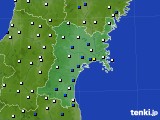 宮城県のアメダス実況(風向・風速)(2019年03月11日)