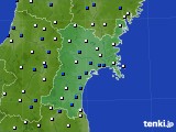 宮城県のアメダス実況(風向・風速)(2019年03月16日)