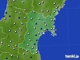 宮城県のアメダス実況(風向・風速)(2019年04月30日)