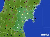 宮城県のアメダス実況(日照時間)(2019年10月06日)