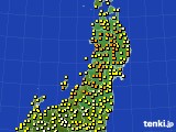 アメダス実況(気温)(2020年05月31日)