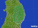 岩手県のアメダス実況(気温)(2020年06月16日)