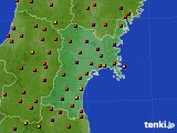 宮城県のアメダス実況(気温)(2020年08月11日)