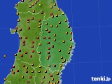 岩手県のアメダス実況(気温)(2020年08月25日)