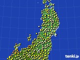 2020年11月19日の東北地方のアメダス(気温)