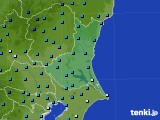 茨城県のアメダス実況(気温)(2021年01月12日)