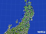 東北地方のアメダス実況(風向・風速)(2021年01月16日)