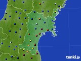 宮城県のアメダス実況(日照時間)(2021年11月23日)