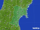 宮城県のアメダス実況(風向・風速)(2022年01月16日)