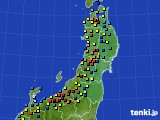 東北地方のアメダス実況(積雪深)(2022年02月09日)