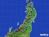 2022年02月11日の東北地方のアメダス(積雪深)